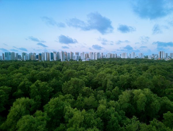 L'Impact Écologique sur la Culture des Jeunes : Un Témoignage Moderne