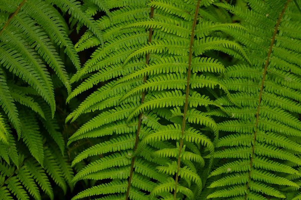 Découvrez les festivals culturels les plus étonnants et uniques de la planète
