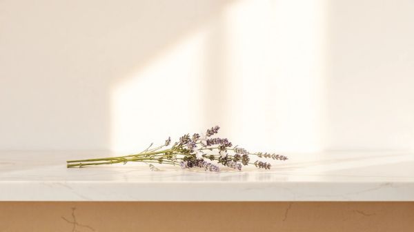 Top 10 incontournables beauté pour une routine réussie